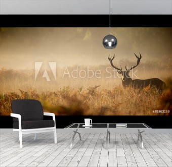 Picture of Red deer stag silhouette in the mist